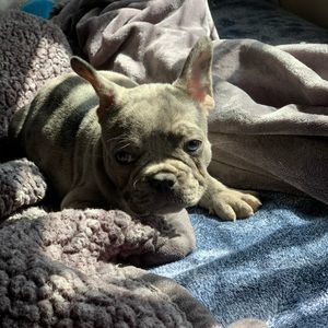 Meet your Posher, Briana